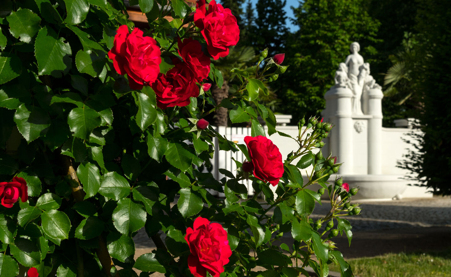 Rosen und Flora am Historischen Haupteingang, &copy; Leo Seidel